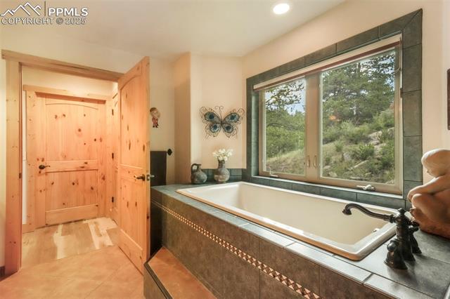 MLS Image for 71  Crestone  ,Florissant, Colorado