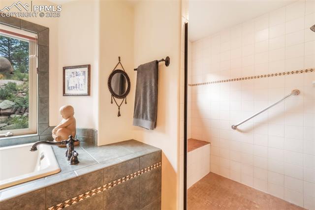 MLS Image for 71  Crestone  ,Florissant, Colorado