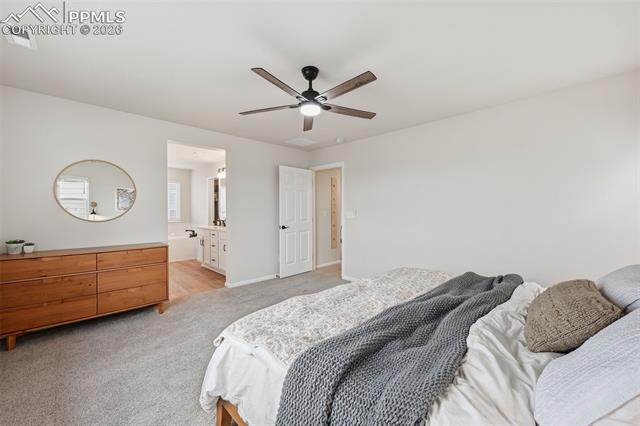 MLS Image for 5765  Mammoth  ,Colorado Springs, Colorado
