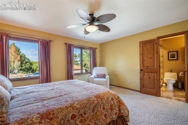 MLS Image for 5221  Cliff Point  ,Colorado Springs, Colorado