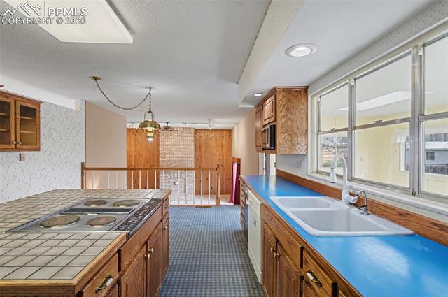MLS Image for 11280  Green Spring  ,Colorado Springs, Colorado