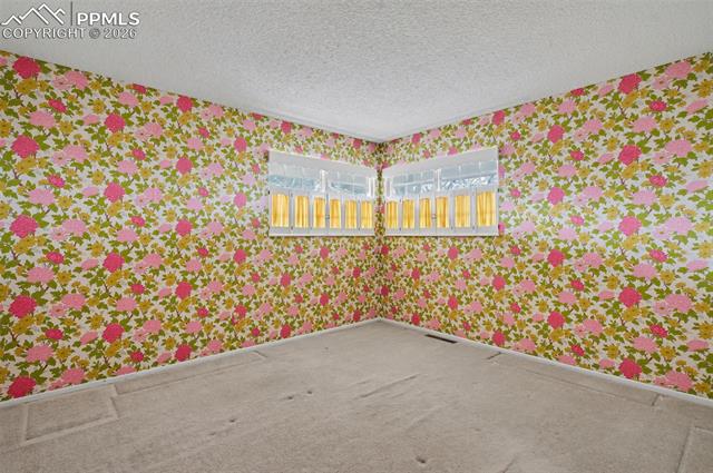 MLS Image for 11280  Green Spring  ,Colorado Springs, Colorado