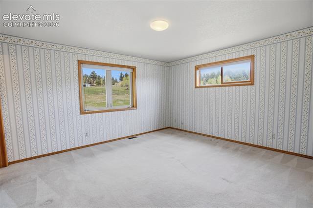 MLS Image for 812  Red Eagle  ,Woodland Park, Colorado