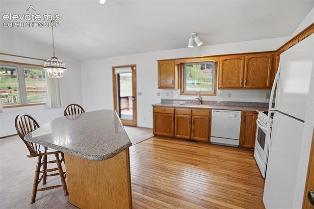 MLS Image for 812  Red Eagle  ,Woodland Park, Colorado