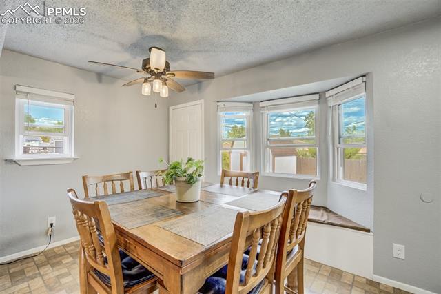 MLS Image for 807  Bryce  ,Colorado Springs, Colorado