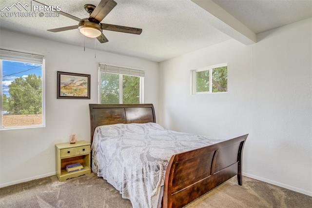 MLS Image for 807  Bryce  ,Colorado Springs, Colorado
