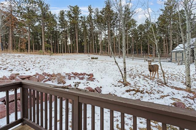 MLS Image for 1157  Ptarmigan  ,Woodland Park, Colorado