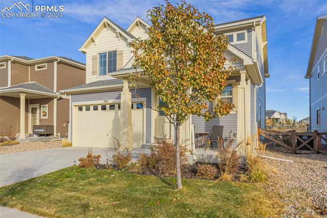 MLS Image for 7251  Sedgerock  ,Colorado Springs, Colorado