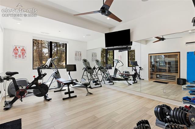 MLS Image for 1685  Oakmoor  ,Colorado Springs, Colorado