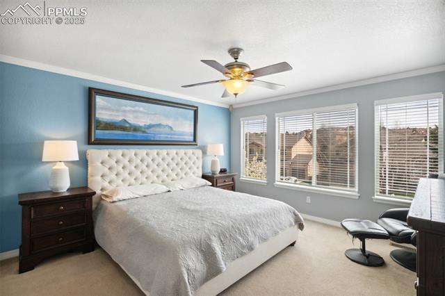 MLS Image for 1613  Lily Lake  ,Colorado Springs, Colorado