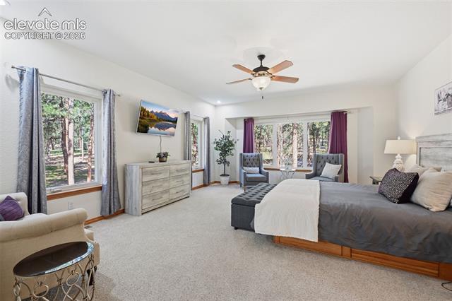 MLS Image for 4415  Hidden Rock  ,Colorado Springs, Colorado