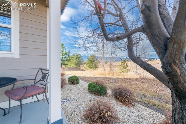 MLS Image for 1890  Wildwood Pass  ,Colorado Springs, Colorado