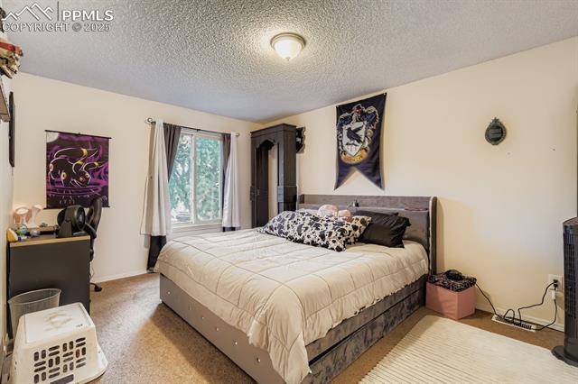 MLS Image for 4386  Hawks Lookout   ,Colorado Springs, Colorado