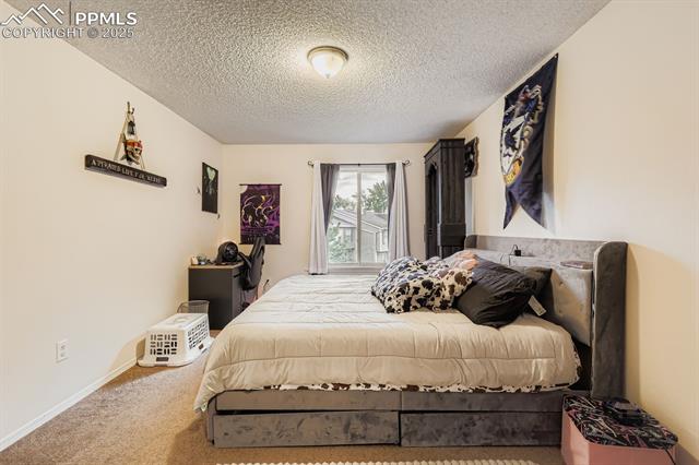 MLS Image for 4386  Hawks Lookout   ,Colorado Springs, Colorado