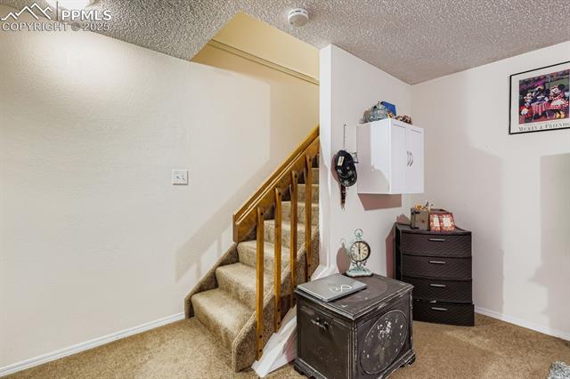 MLS Image for 4386  Hawks Lookout   ,Colorado Springs, Colorado