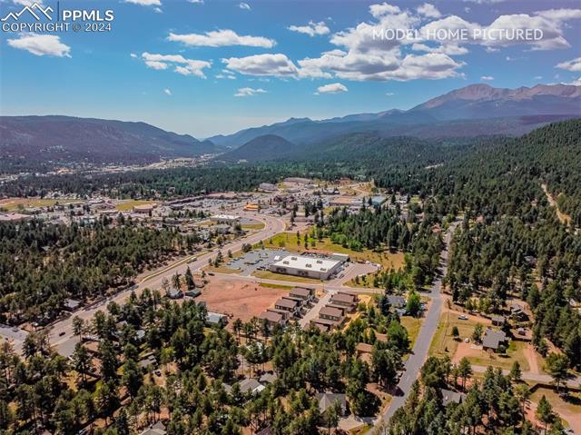 MLS Image for 303  Spruce Meadow  ,Woodland Park, Colorado