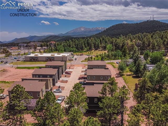 MLS Image for 303  Spruce Meadow  ,Woodland Park, Colorado