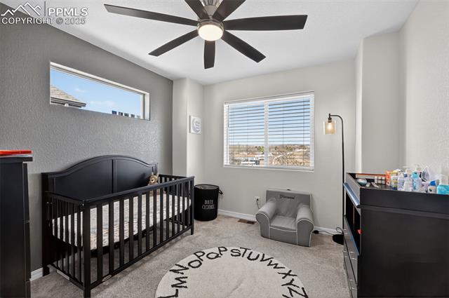 MLS Image for 5292  Painted Sky  ,Colorado Springs, Colorado