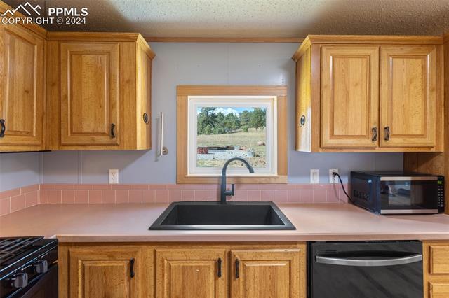 MLS Image for 154  Hummingbird  ,Florissant, Colorado