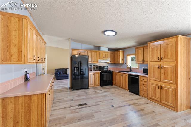 MLS Image for 154  Hummingbird  ,Florissant, Colorado