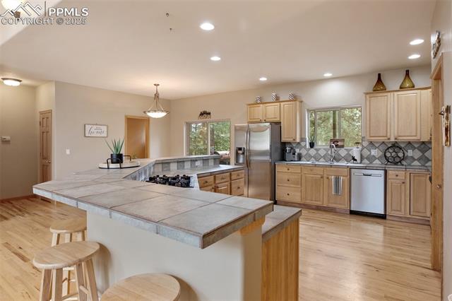 MLS Image for 1020  Skyline  ,Woodland Park, Colorado