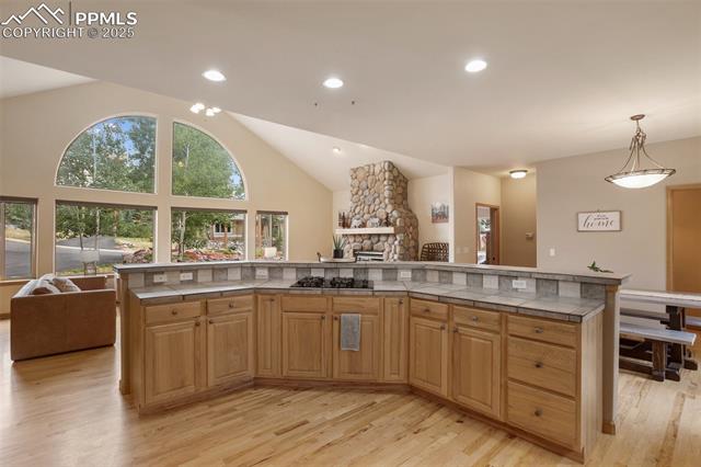 MLS Image for 1020  Skyline  ,Woodland Park, Colorado