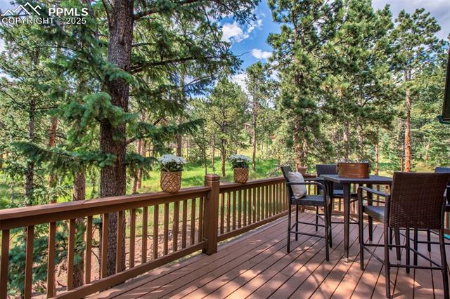 MLS Image for 1020  Skyline  ,Woodland Park, Colorado