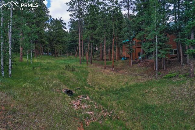 MLS Image for 1020  Skyline  ,Woodland Park, Colorado