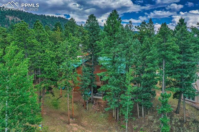 MLS Image for 1020  Skyline  ,Woodland Park, Colorado