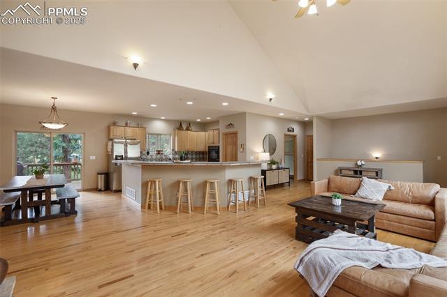 MLS Image for 1020  Skyline  ,Woodland Park, Colorado