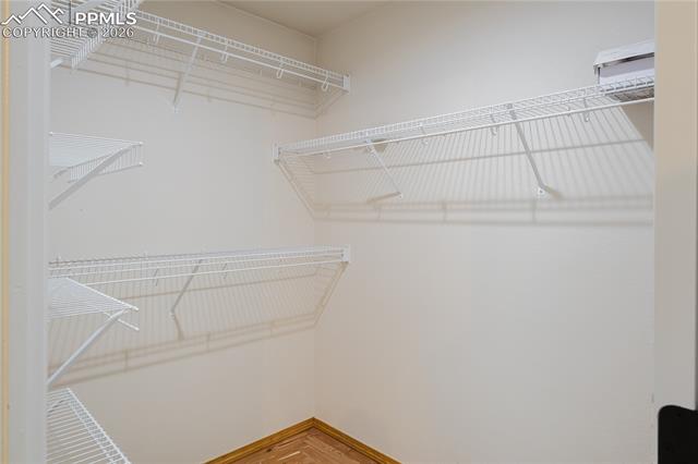 MLS Image for 4687  Fencer  ,Colorado Springs, Colorado