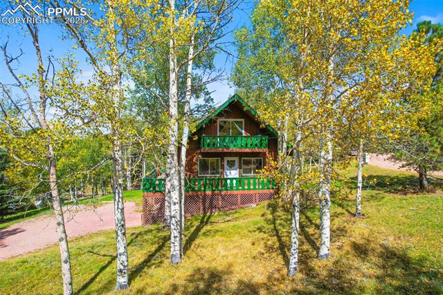 MLS Image for 95  Club  ,Woodland Park, Colorado