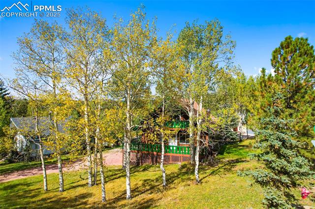 MLS Image for 95  Club  ,Woodland Park, Colorado