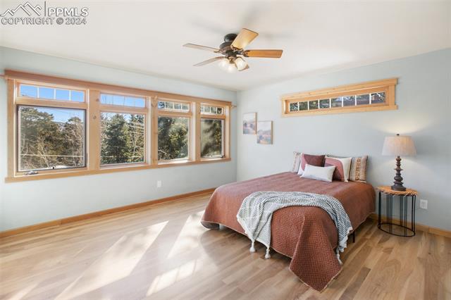 MLS Image for 435  Timber  ,Woodland Park, Colorado