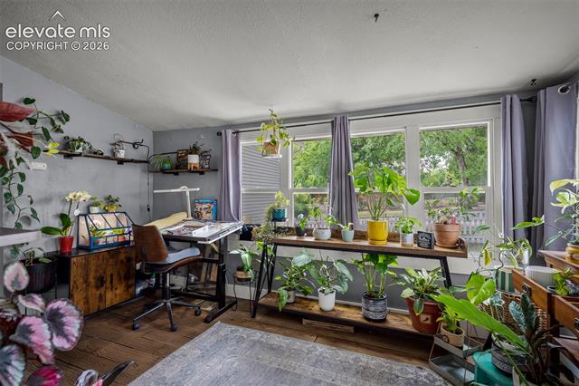 MLS Image for 803 N Walnut  ,Colorado Springs, Colorado