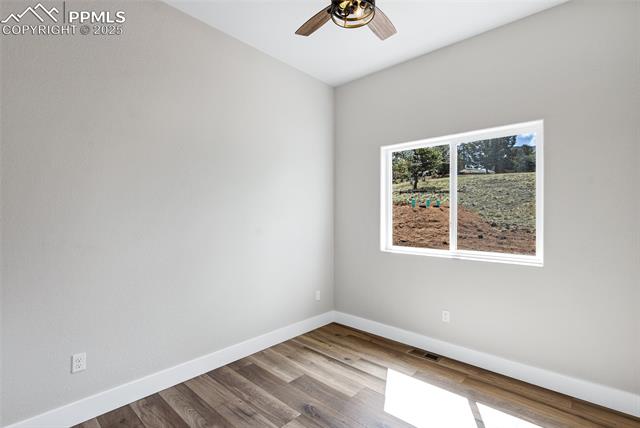 MLS Image for 192  Dillon  ,Florissant, Colorado