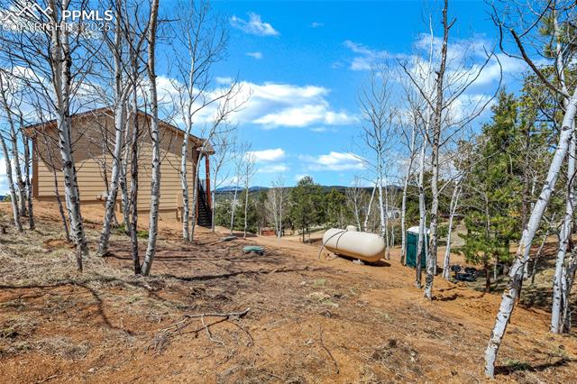 MLS Image for 192  Dillon  ,Florissant, Colorado