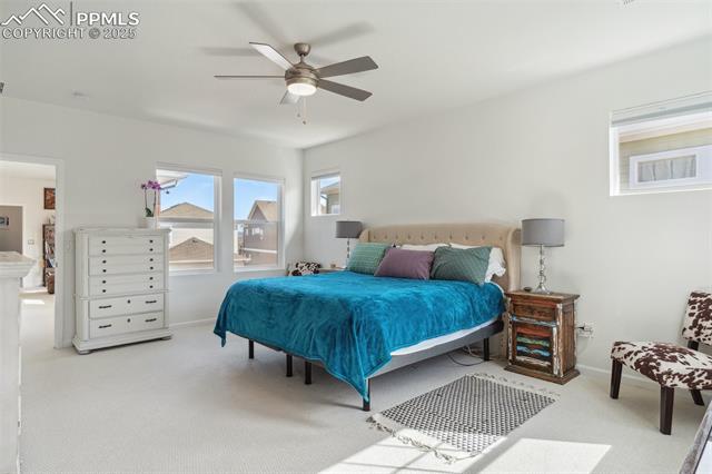 MLS Image for 84  Mayflower Park  ,Colorado Springs, Colorado