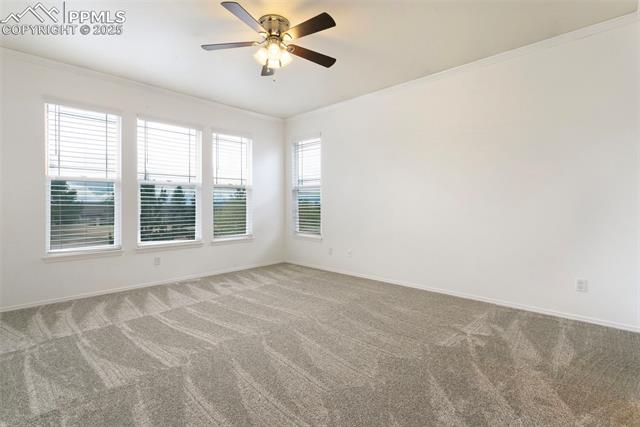MLS Image for 2853  Blackwood  ,Colorado Springs, Colorado