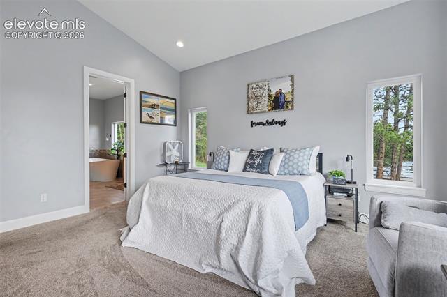 MLS Image for 21  Leaming  ,Colorado Springs, Colorado