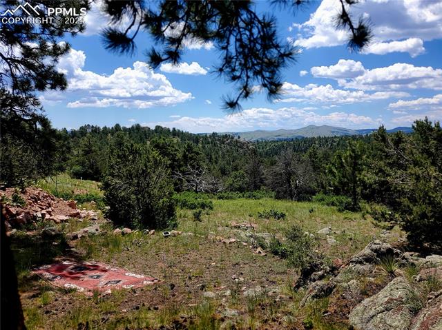 MLS Image for 22  Choctaw  ,Florissant, Colorado