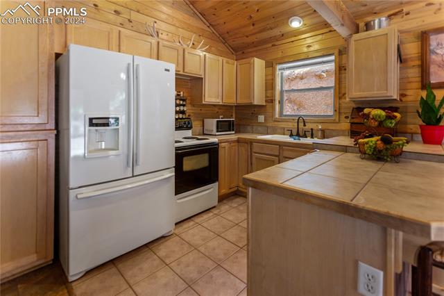 MLS Image for 155  Squilchuk  ,Woodland Park, Colorado