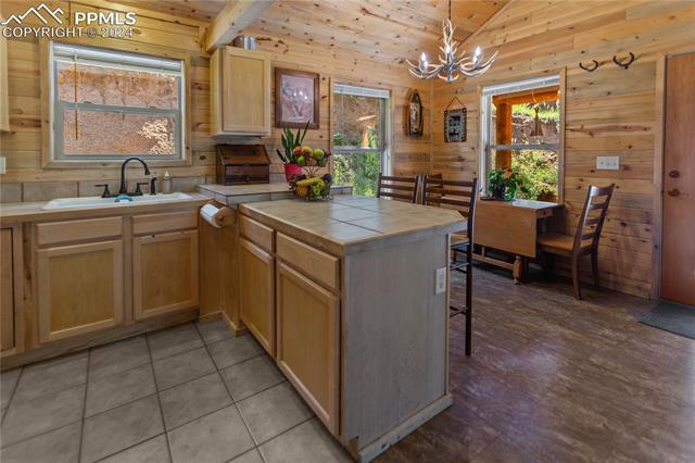 MLS Image for 155  Squilchuk  ,Woodland Park, Colorado