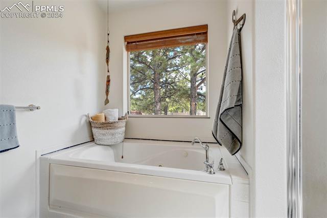 MLS Image for 1261  Woodland Valley Ranch  ,Woodland Park, Colorado