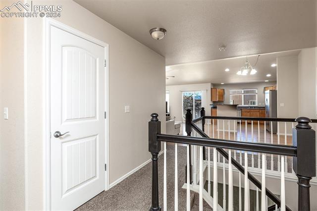 MLS Image for 6180  Water Trough  ,Colorado Springs, Colorado