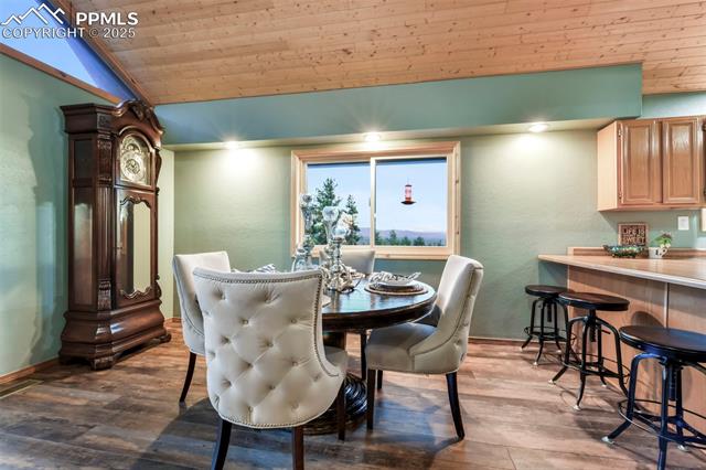 MLS Image for 1701  Wildhorn  ,Florissant, Colorado