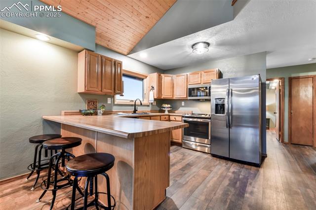 MLS Image for 1701  Wildhorn  ,Florissant, Colorado