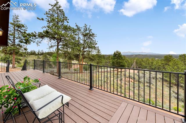 MLS Image for 1701  Wildhorn  ,Florissant, Colorado