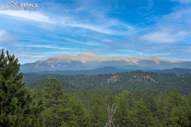 MLS Image for 1701  Wildhorn  ,Florissant, Colorado