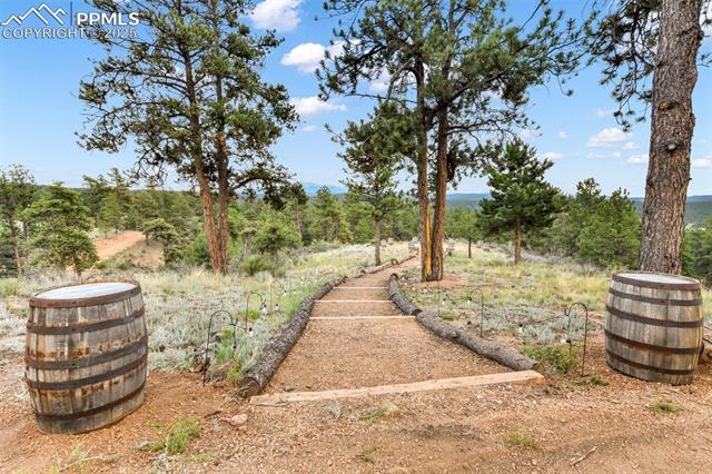 MLS Image for 1701  Wildhorn  ,Florissant, Colorado